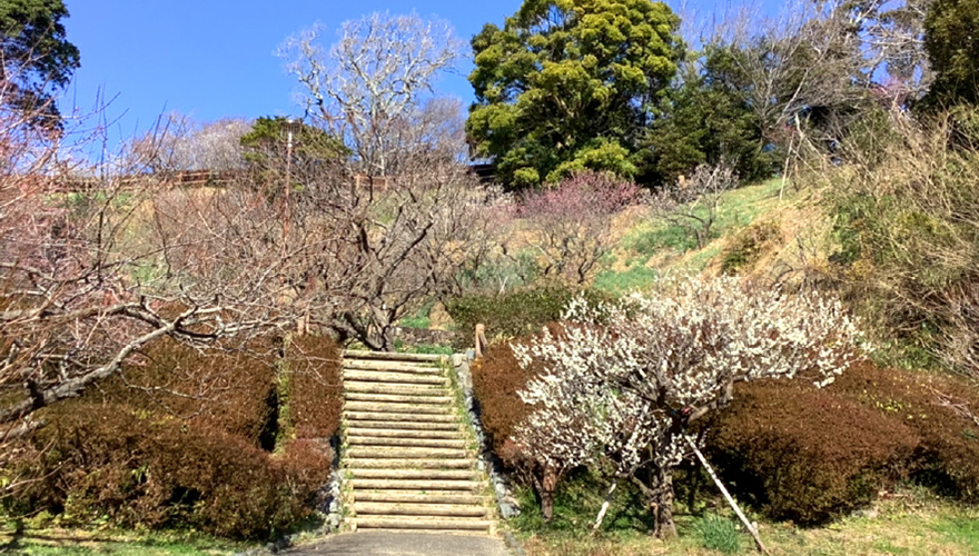 城山公園.jpg