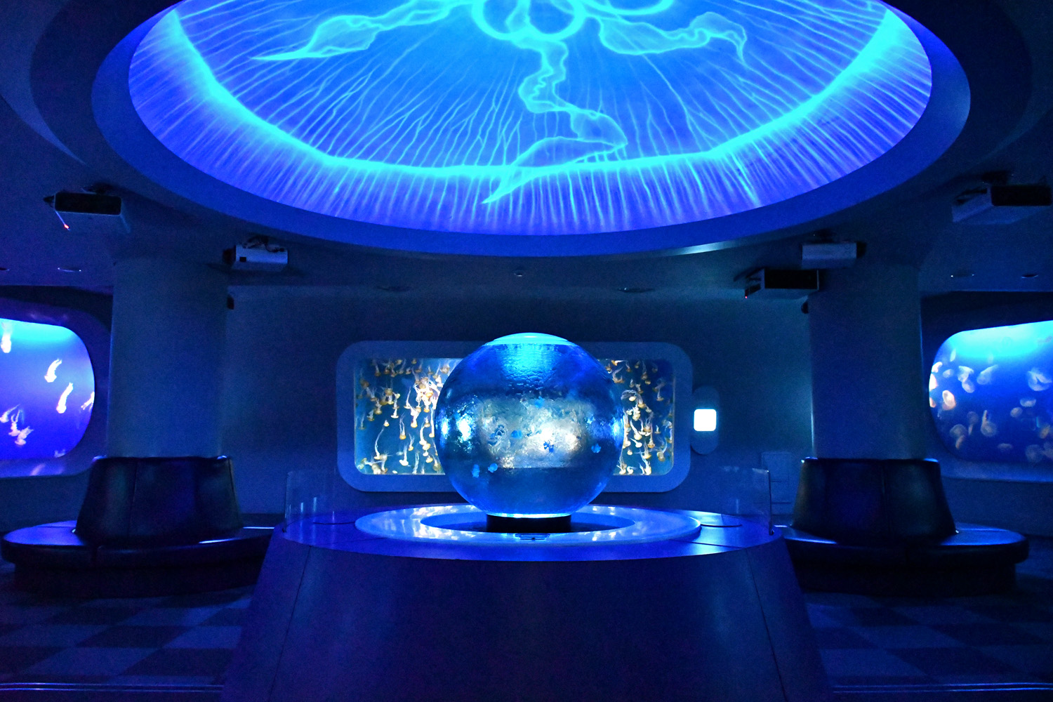 クラゲファンタジーホール.jpg