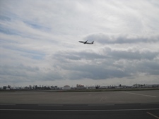 CIMG9565.JPG