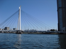 CIMG9641.JPG