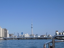 CIMG9650.JPG